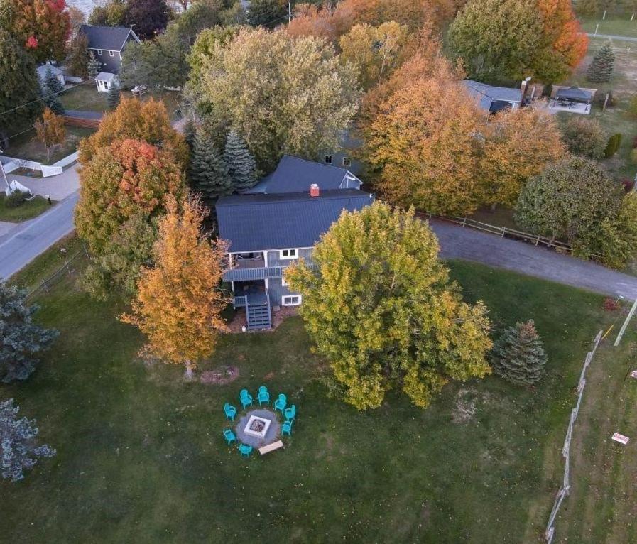 Dunes Tree House Picton Exterior photo